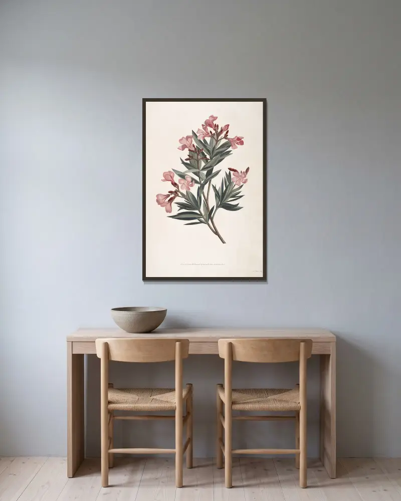 Kvist av oleander av Jean Louis Prévost inramad på en vägg