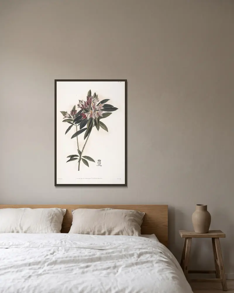 Östlig rosenbuske eller Rhododendron ponticum av Jean Louis Prévost inramad på en vägg