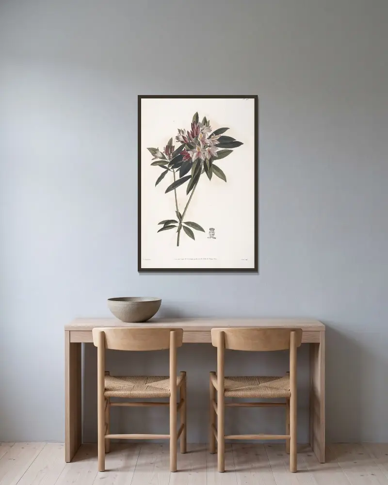Östlig rosenbuske eller Rhododendron ponticum av Jean Louis Prévost inramad på en vägg