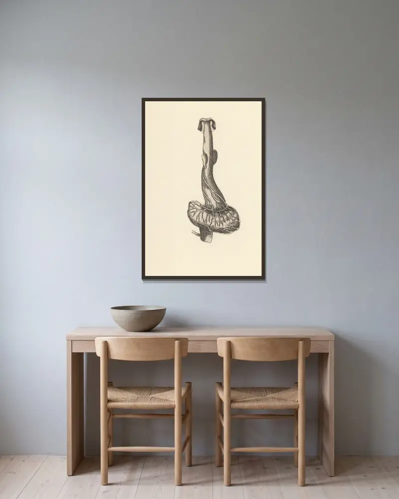 Speiseröhre und Magen von Lucas Kilian gerahmt an einer Wand