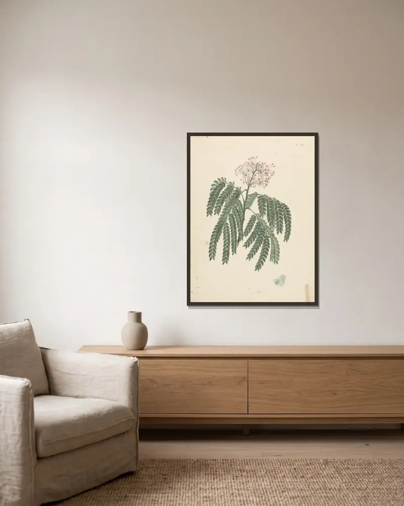 Albizia gummifera (J.F.Gmel.) C.A.Sm. (gummialbizia) – nr 1 av Luigi Balugani inramad på en vägg