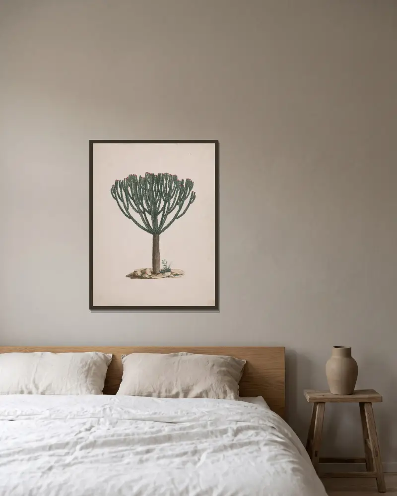 Euphorbia abyssinica J.F. Gmel. von Luigi Balugani gerahmt an einer Wand