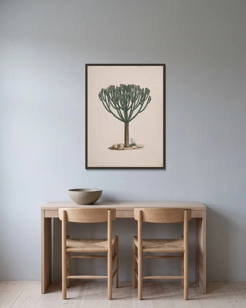 Euphorbia abyssinica J.F. Gmel. von Luigi Balugani gerahmt an einer Wand