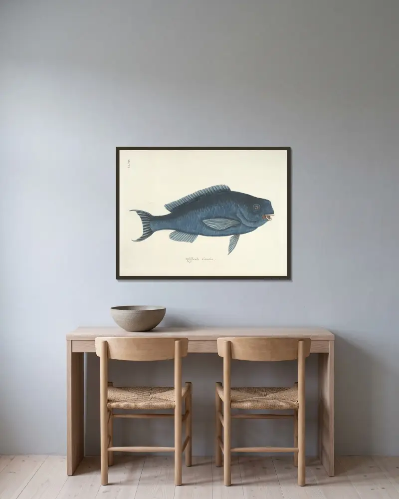 Fiskar, ormar, insekter och andra djur samt några växter, plansch 18 av Mark Catesby inramad på en vägg