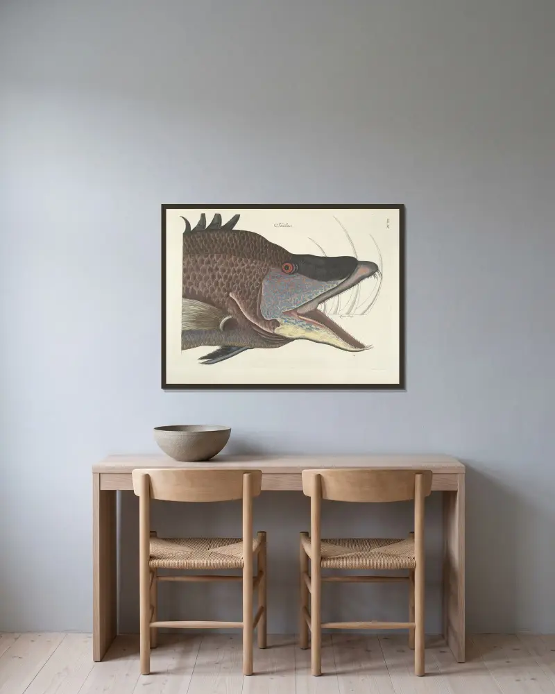 Fiskar, ormar, insekter och andra djur samt några växter, plansch 15 av Mark Catesby inramad på en vägg