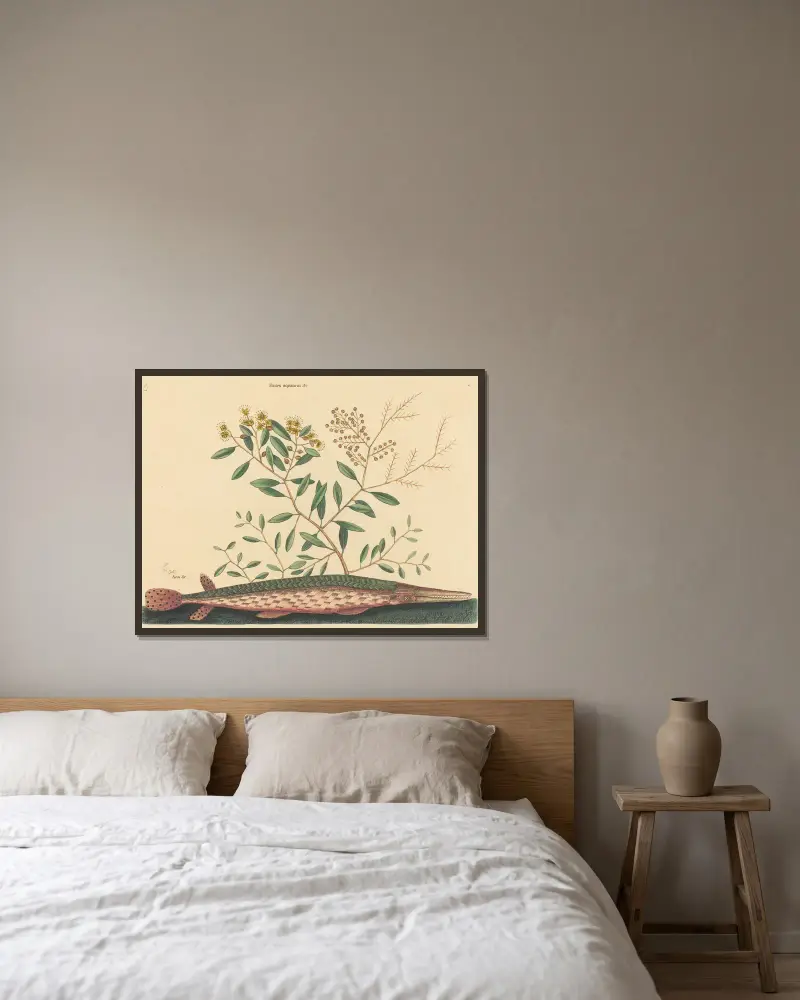 Der grüne Knochenhecht (Esox osseus) von Mark Catesby gerahmt an einer Wand