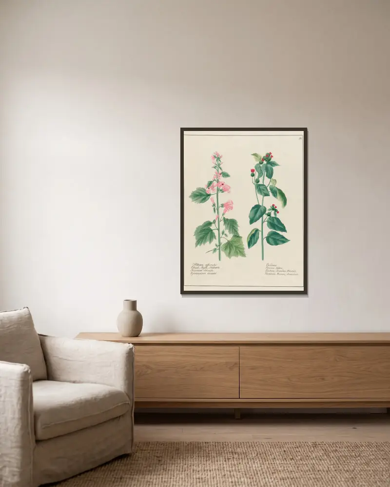Althaea officinalis … [and] Bardana av Petr Martynovich Gofman inramad på en vägg