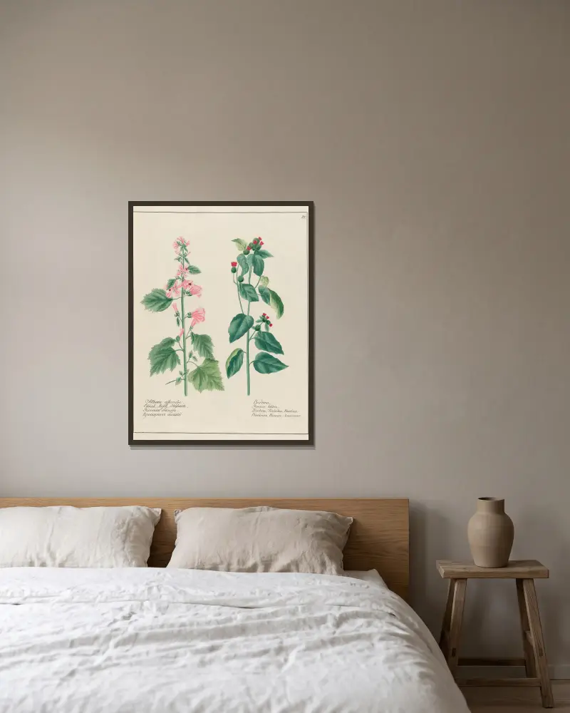 Althaea officinalis … [and] Bardana av Petr Martynovich Gofman inramad på en vägg