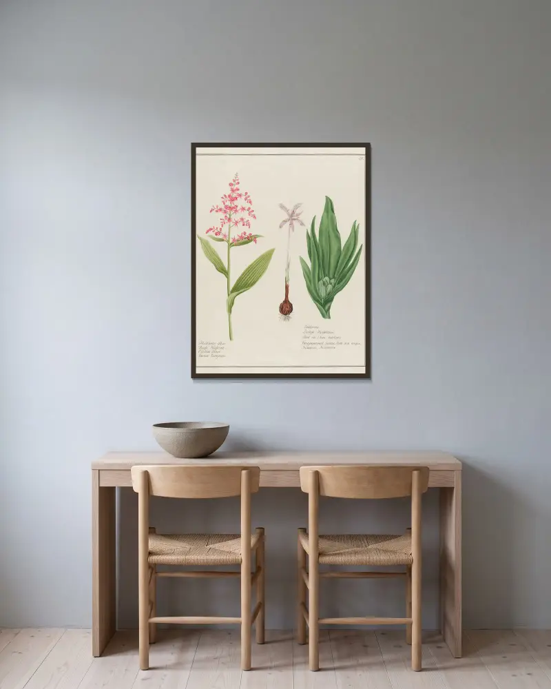 Helleborus albus … [och] Colchicum av Petr Martynovich Gofman inramad på en vägg