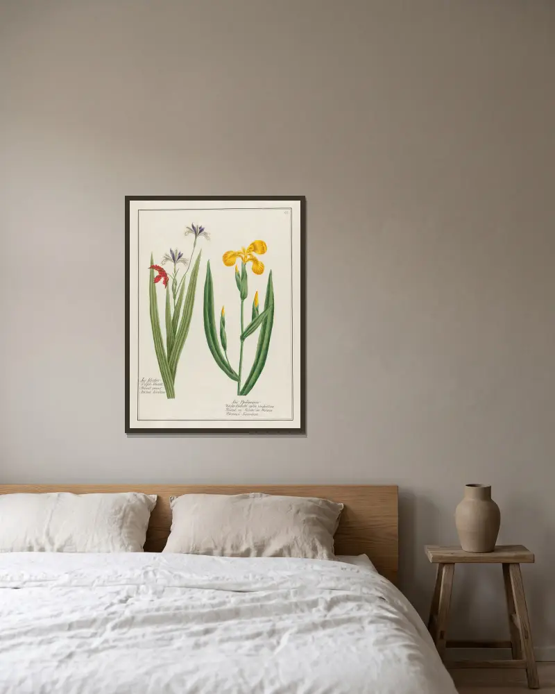 Iris Silvestris … [and] Iris Pseudoacorus av Petr Martynovich Gofman inramad på en vägg