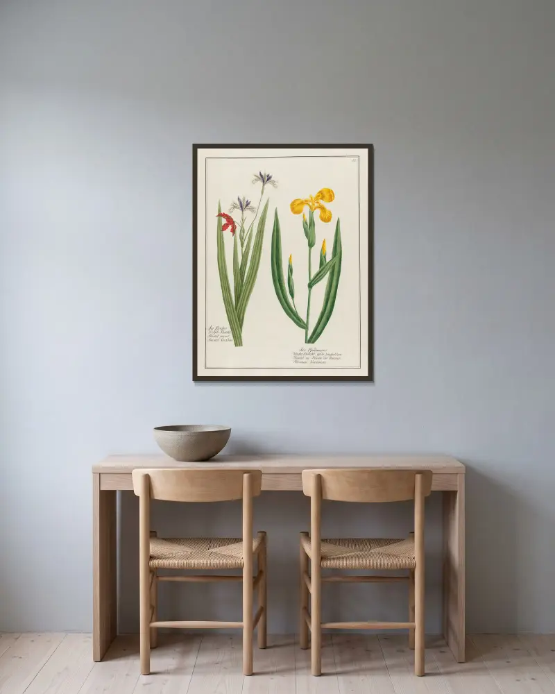 Iris Silvestris … [and] Iris Pseudoacorus av Petr Martynovich Gofman inramad på en vägg