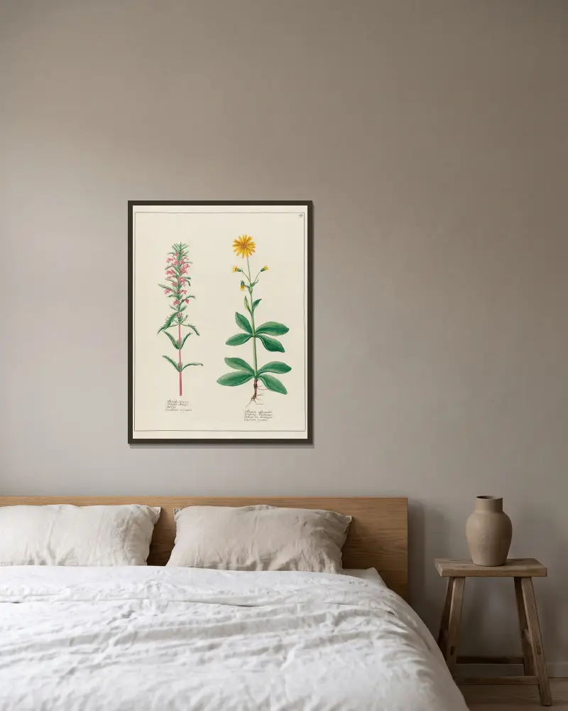 Melissa Turcica … [and] Arnica officinalis av Petr Martynovich Gofman inramad på en vägg