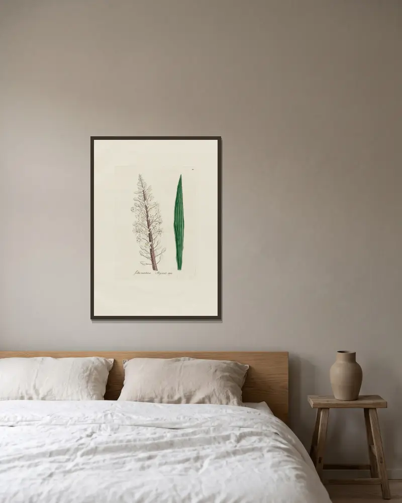 Scilla maritima von Petr Martynovich Gofman gerahmt an einer Wand