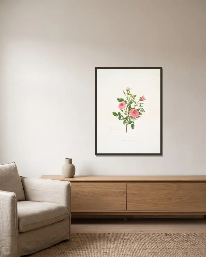 Rosa provincialis oder Rose de Meaux von Mary Lawrance gerahmt an einer Wand