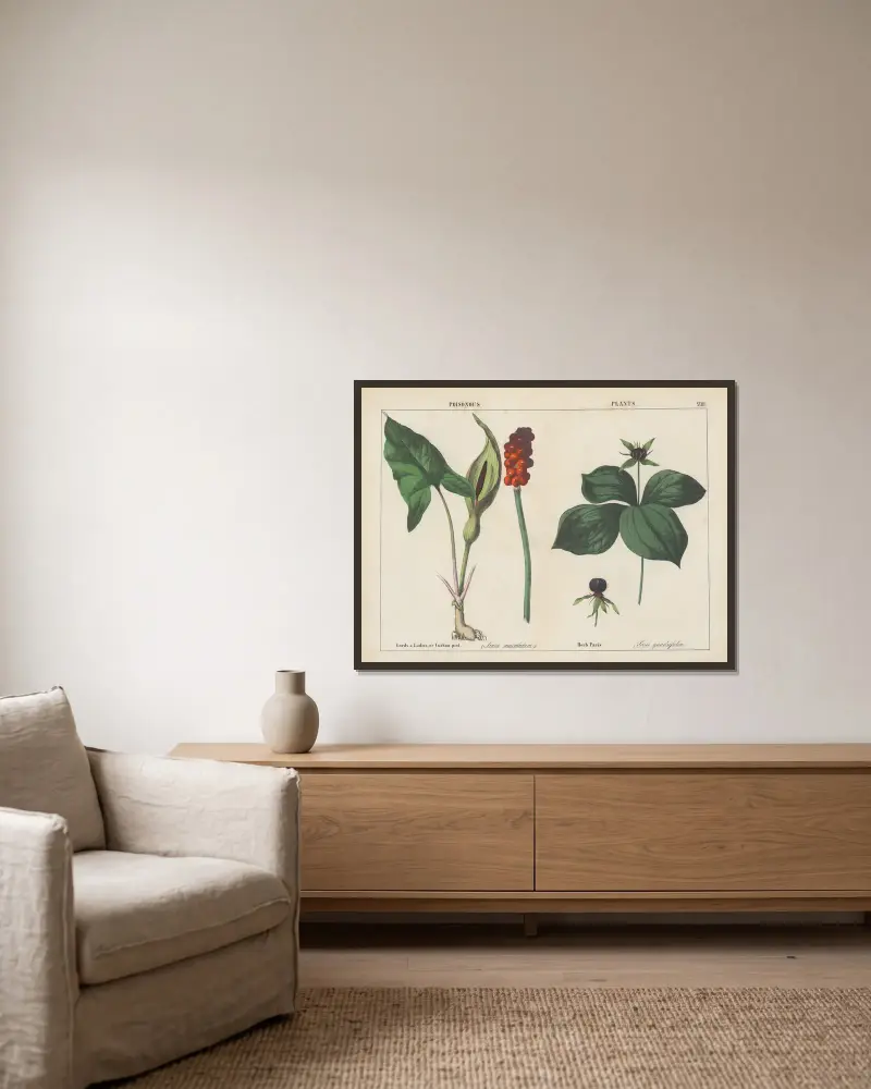Giftige Pflanzen (Lords & Ladies, Herb Paris), 1858 – Nr. 6 von Charlotte Mary Yonge gerahmt an einer Wand