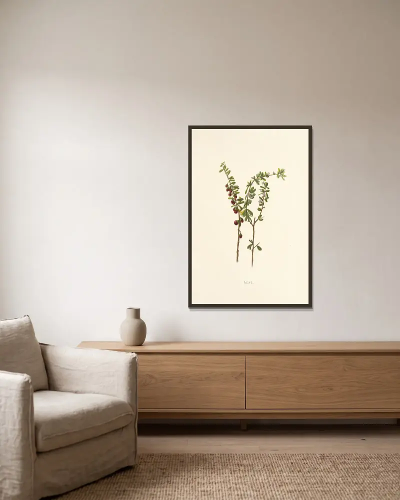 Aeae von Isabella McHutcheson Sinclair gerahmt an einer Wand