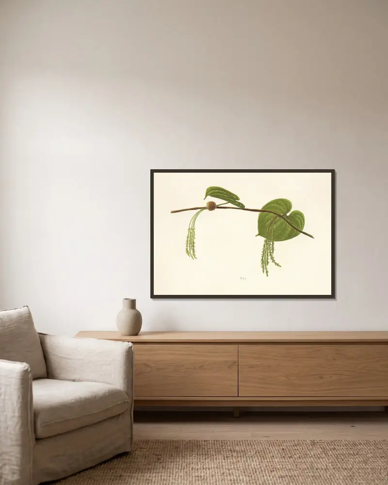 Hoi von Isabella McHutcheson Sinclair gerahmt an einer Wand