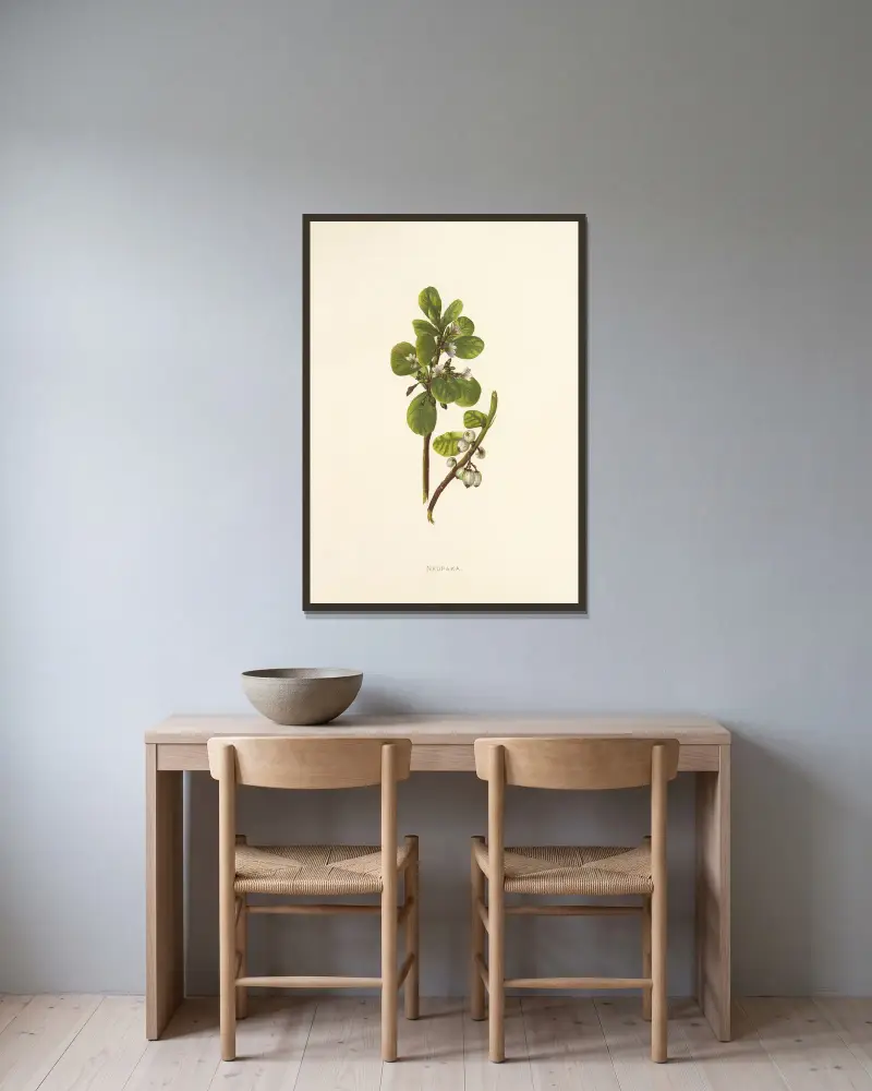 Naupaka von Isabella McHutcheson Sinclair gerahmt an einer Wand