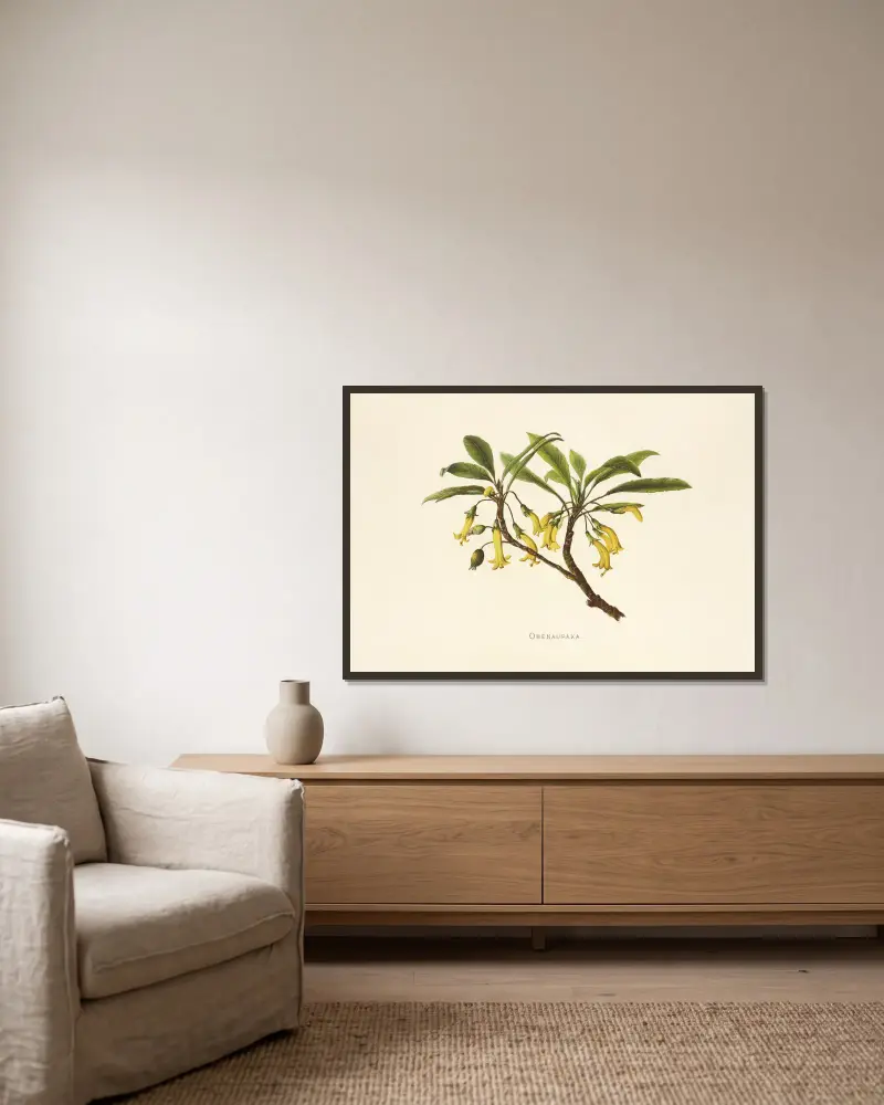 Ohenaupaka von Isabella McHutcheson Sinclair gerahmt an einer Wand