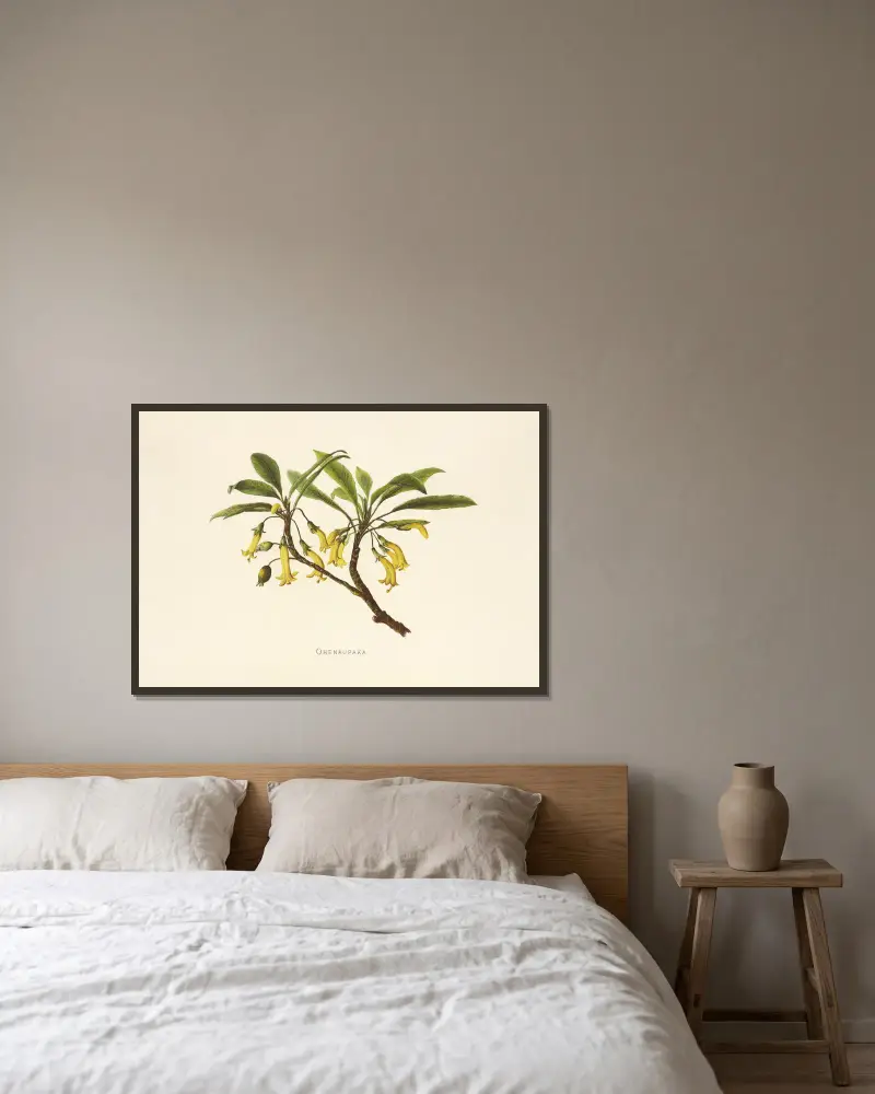 Ohenaupaka von Isabella McHutcheson Sinclair gerahmt an einer Wand