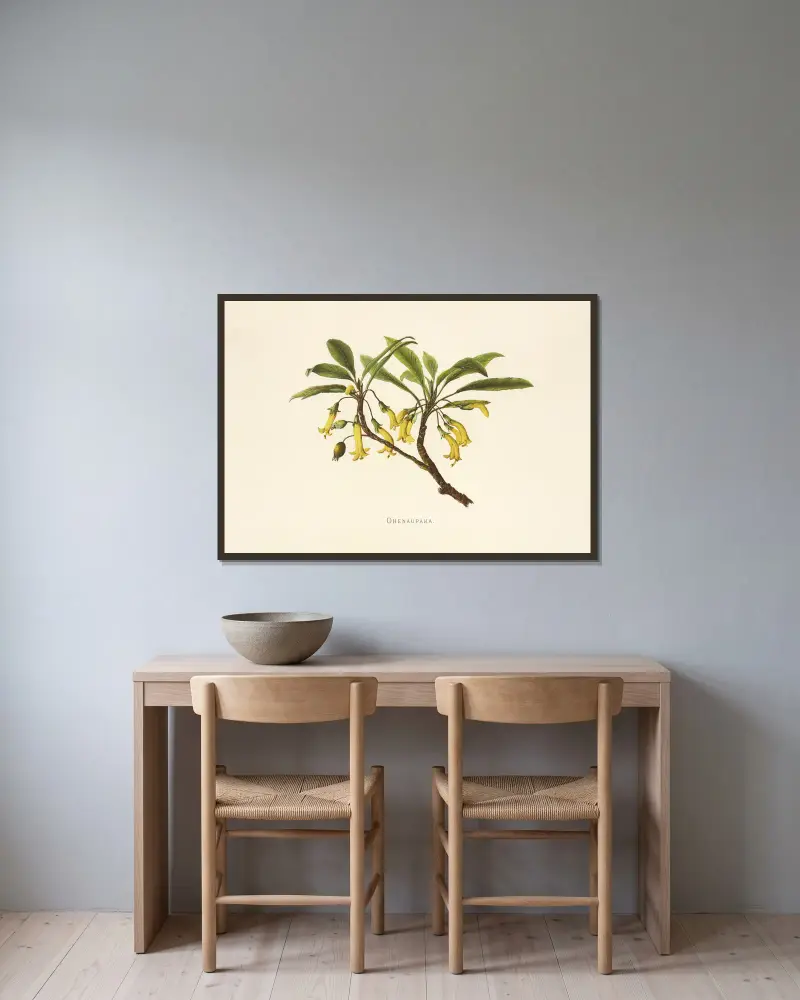 Ohenaupaka von Isabella McHutcheson Sinclair gerahmt an einer Wand