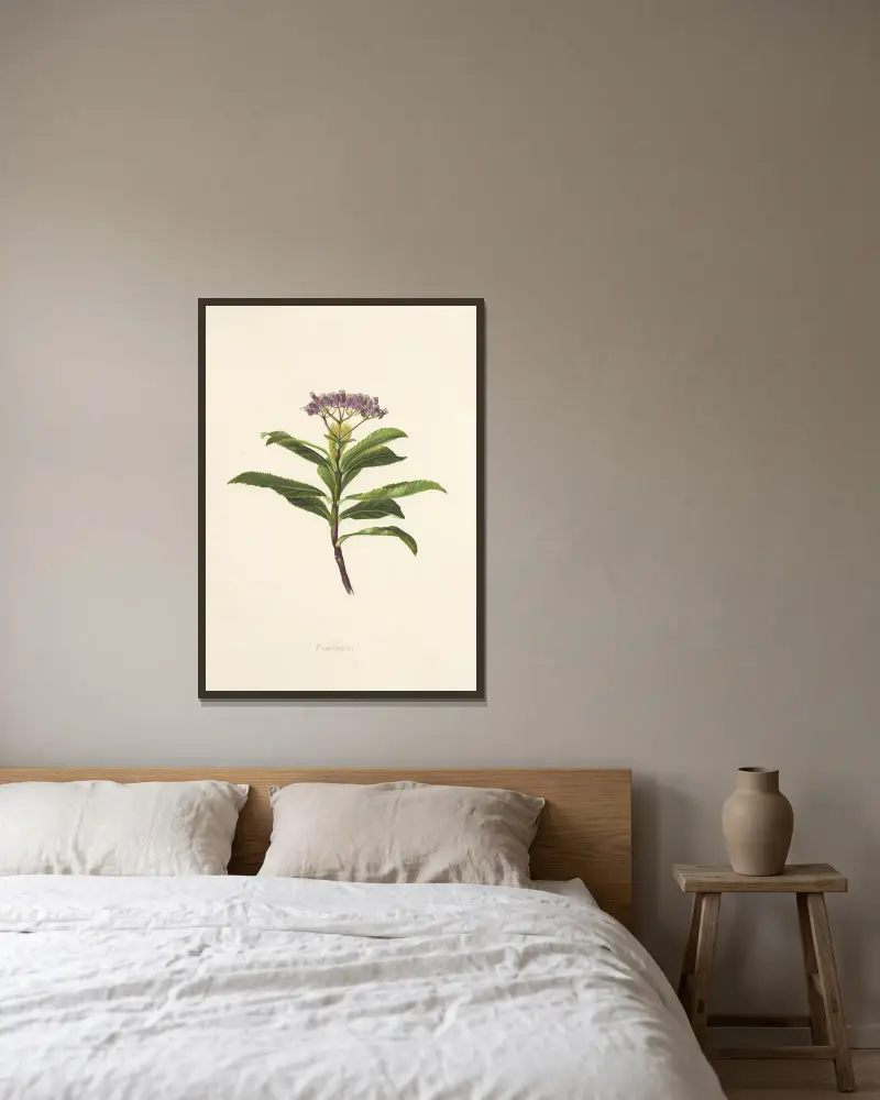 Poahanui von Isabella McHutcheson Sinclair gerahmt an einer Wand