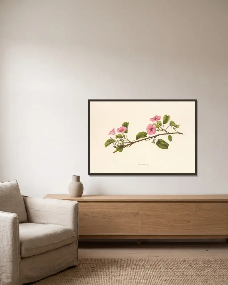 Pohuehue von Isabella McHutcheson Sinclair gerahmt an einer Wand