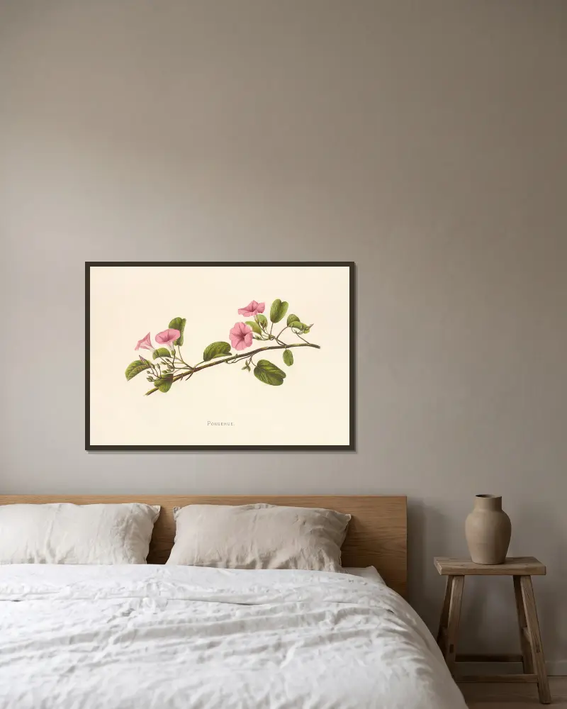 Pohuehue von Isabella McHutcheson Sinclair gerahmt an einer Wand