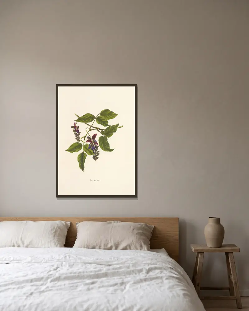 Puakauhi von Isabella McHutcheson Sinclair gerahmt an einer Wand