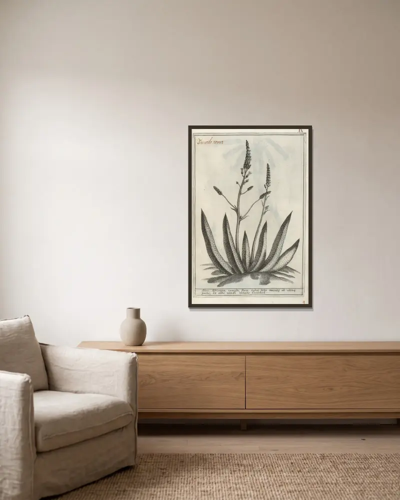 Catalogus plantarum horti Pisani Pl. 09 von Michelangelo Tilli gerahmt an einer Wand
