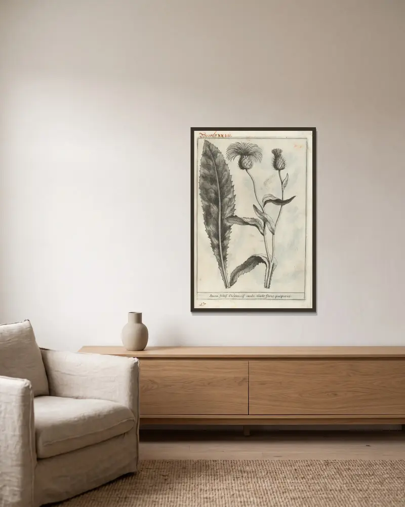 Catalogus plantarum horti Pisani, Tafel 27 von Michelangelo Tilli gerahmt an einer Wand