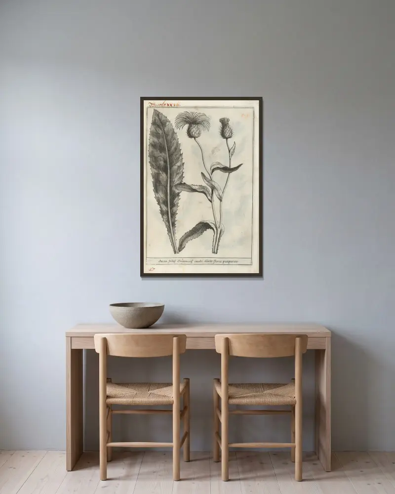 Catalogus plantarum horti Pisani, Tafel 27 von Michelangelo Tilli gerahmt an einer Wand