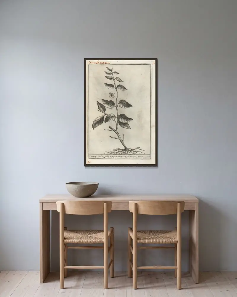 Catalogus plantarum horti Pisani, Tafel 44 von Michelangelo Tilli gerahmt an einer Wand