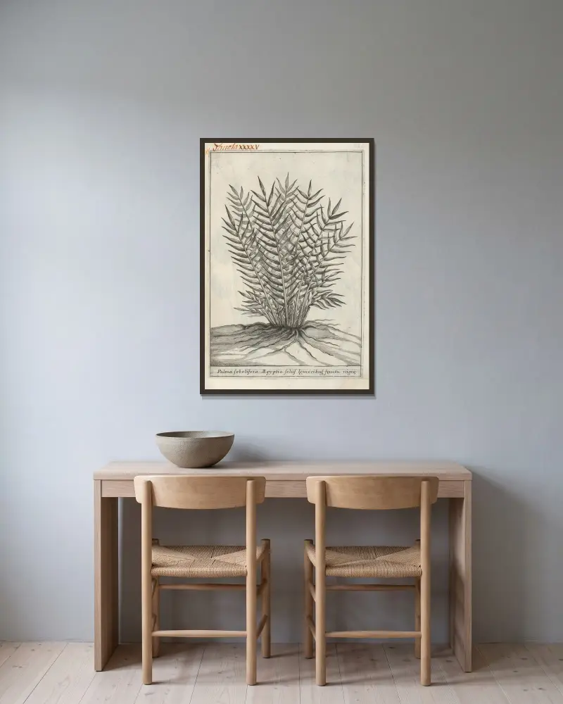 Catalogus plantarum horti Pisani, Tafel 45 von Michelangelo Tilli gerahmt an einer Wand