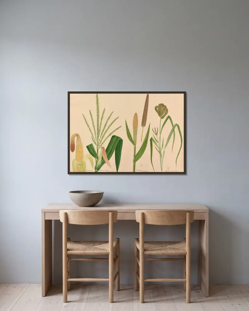 Indian Corn. Mootoo Cholum, Kamboo, Kaveroo von Miss Gough gerahmt an einer Wand