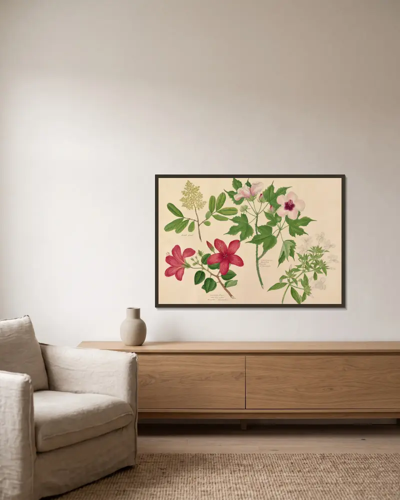 Djungelväxt. En sorts hibiskus, en sorts kaprifol av Miss Gough inramad på en vägg