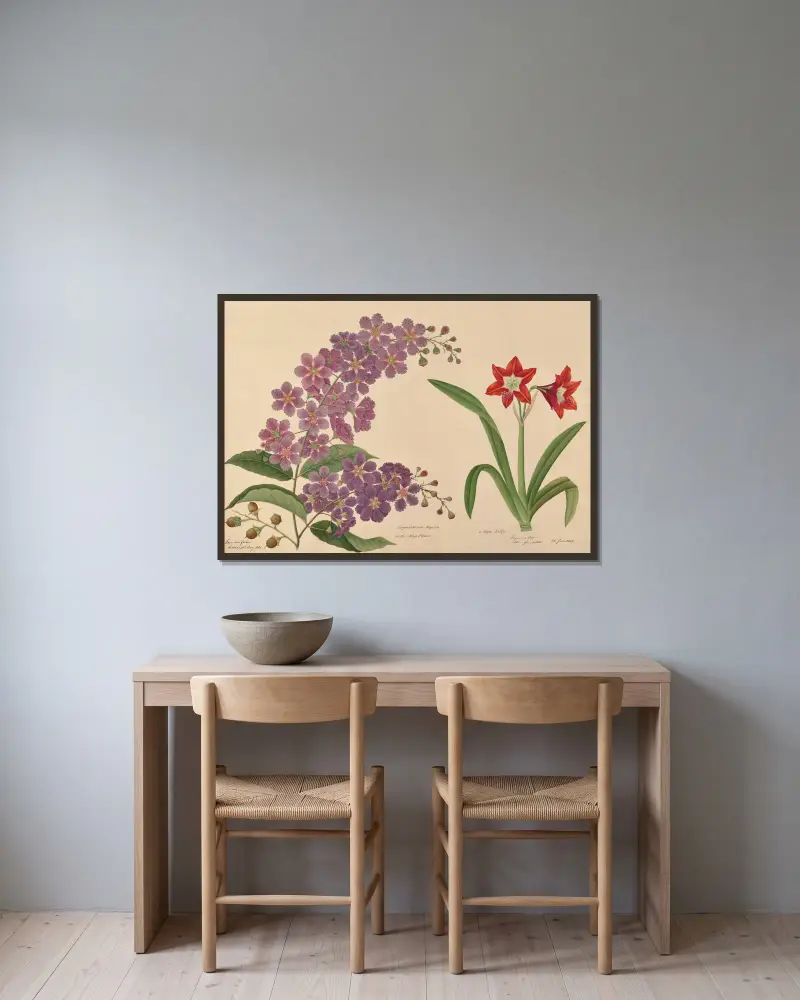 Lagerstroemia reginae eller majblomman. En kaplilja av Miss Gough inramad på en vägg