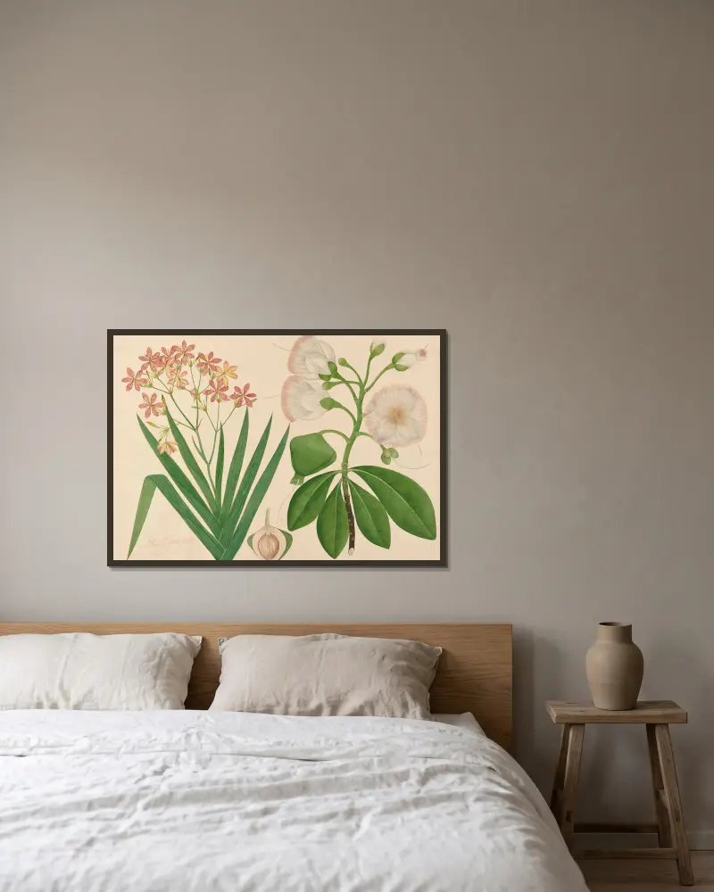 Unbekannte schöne Blume aus unserem Garten von Miss Gough gerahmt an einer Wand