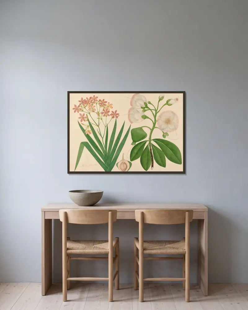 Unbekannte schöne Blume aus unserem Garten von Miss Gough gerahmt an einer Wand