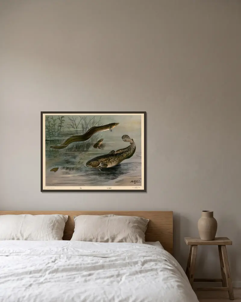 Ål. Lake. av Nils Tirén inramad på en vägg