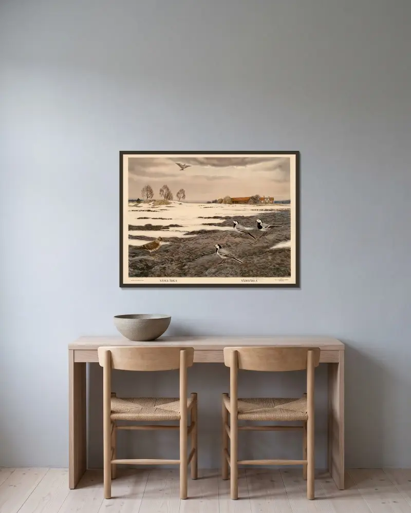 Sånglärka. Sädesärla av Nils Tirén inramad på en vägg