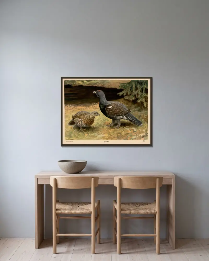 Tjäder av Nils Tirén inramad på en vägg