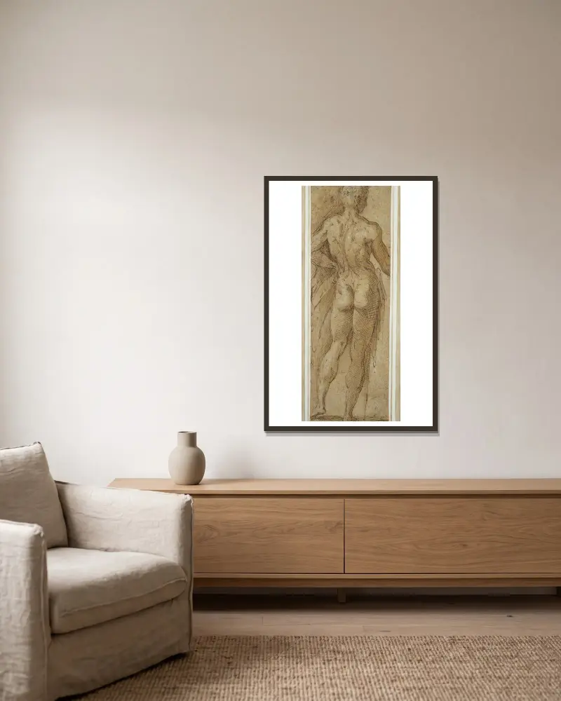 Stående manlig akt sedd bakifrån av Parmigianino inramad på en vägg