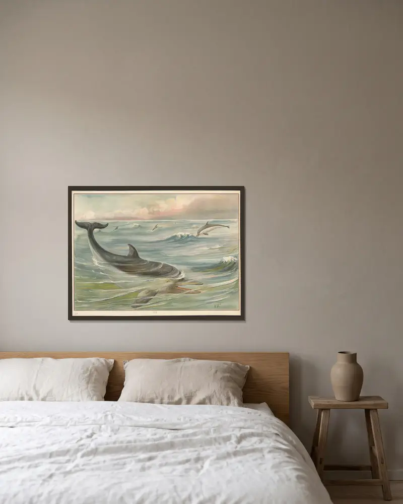 Delfin, Paul Flanderky w ramie na ścianie