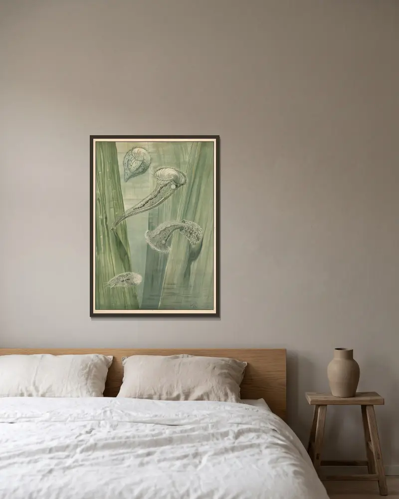 Paramecium, Paul Flanderky w ramie na ścianie