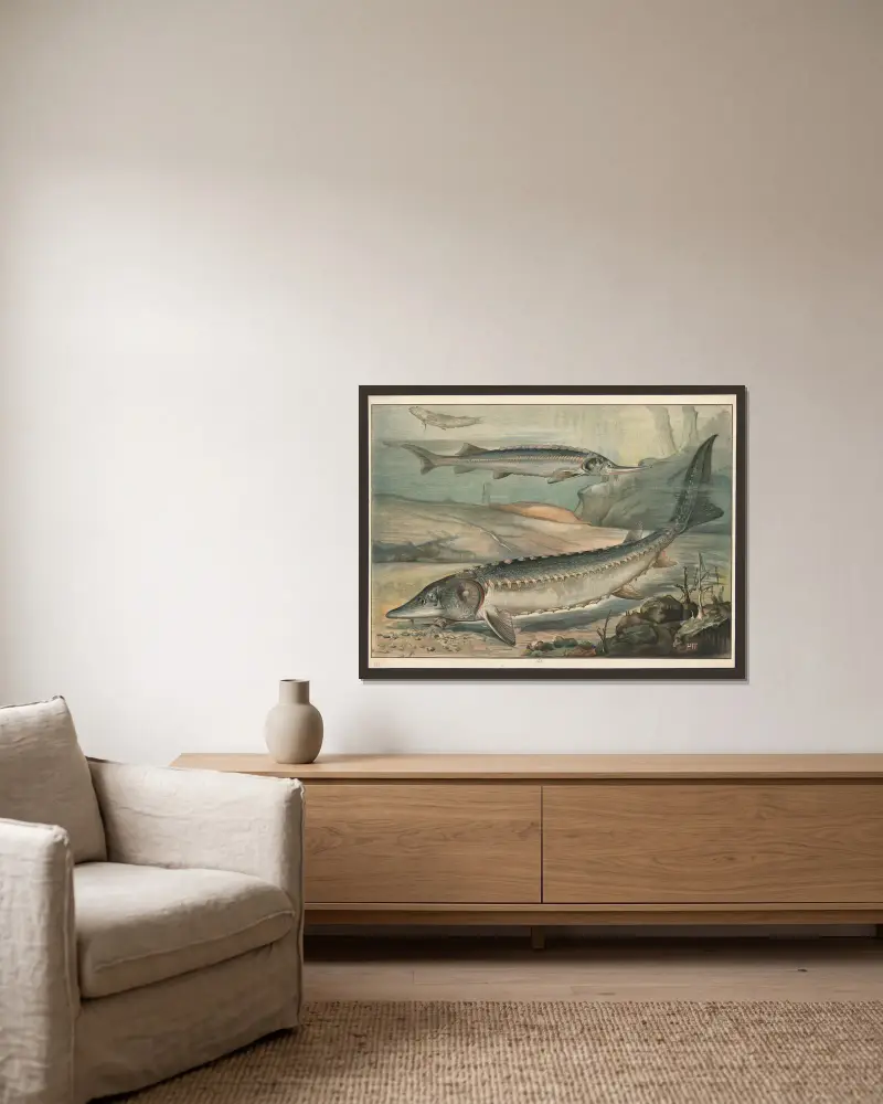 Stör von Paul Flanderky gerahmt an einer Wand