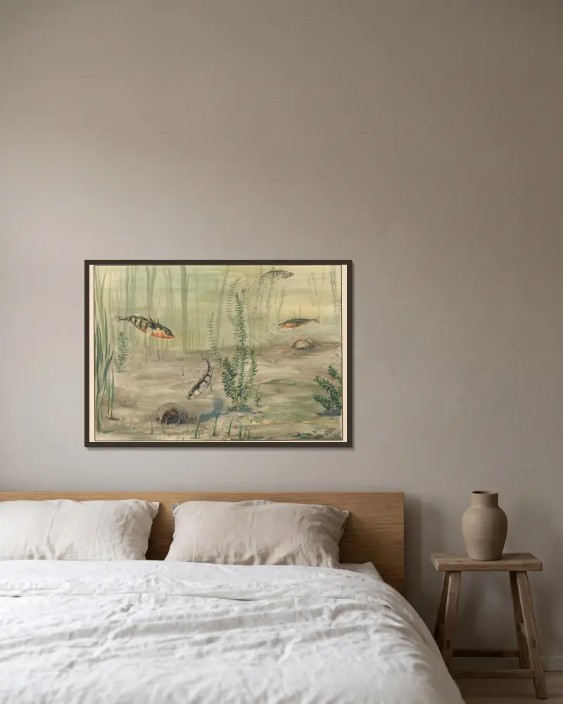 Dreistachliger Stichling von Paul Flanderky gerahmt an einer Wand