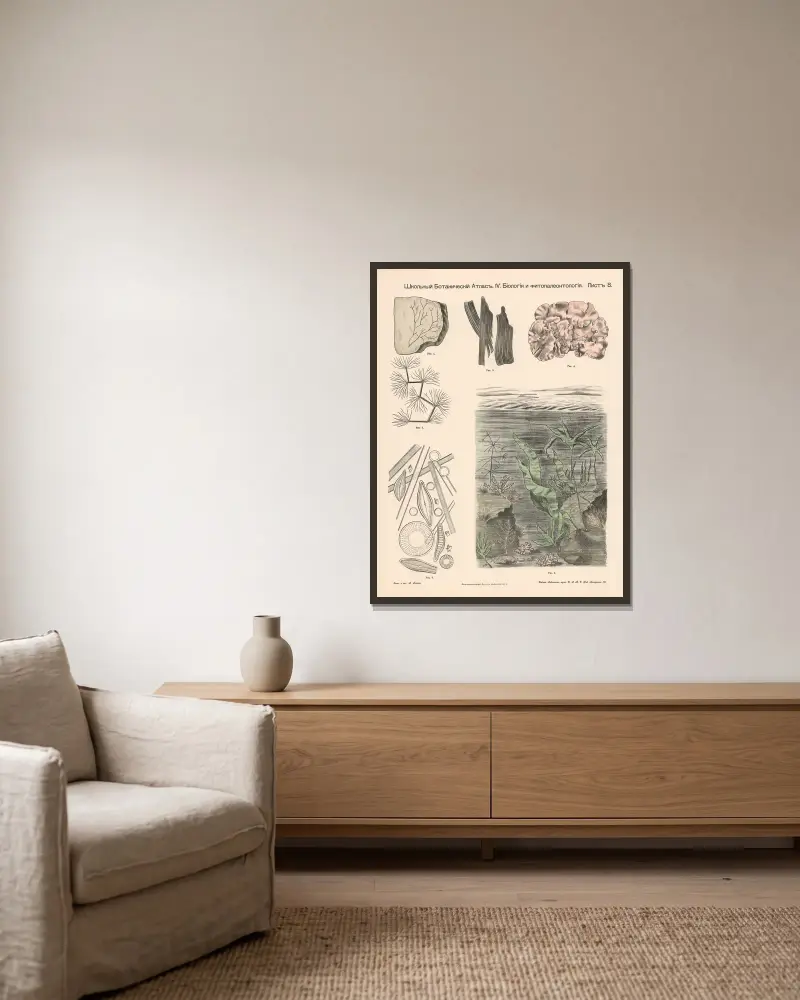 Wasserpflanzen. Fossil. von Alexander-Paul Henckel gerahmt an einer Wand