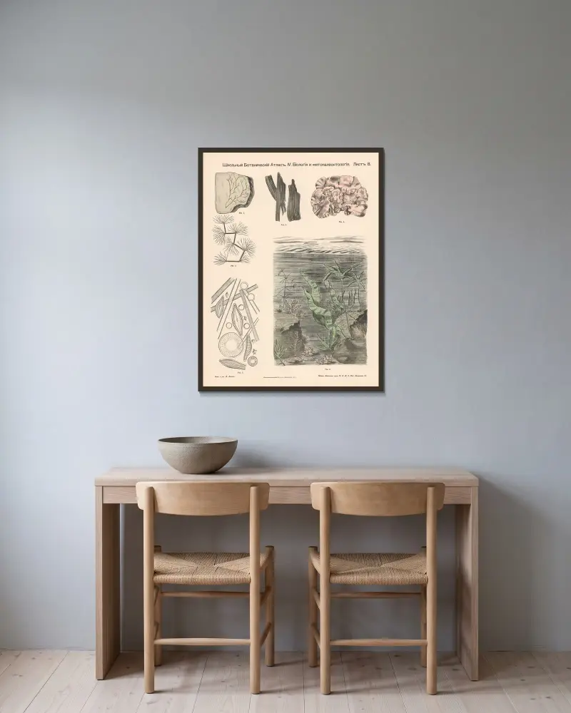 Wasserpflanzen. Fossil. von Alexander-Paul Henckel gerahmt an einer Wand