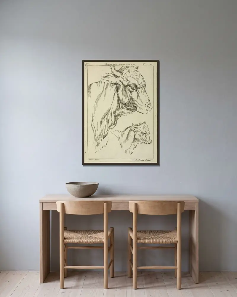 Huvuden och halsar på två tjurar i profil av Peter Paul Rubens inramad på en vägg
